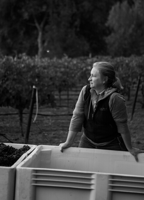 Jennifer Higgins, Director of Winemaking + Vineyards